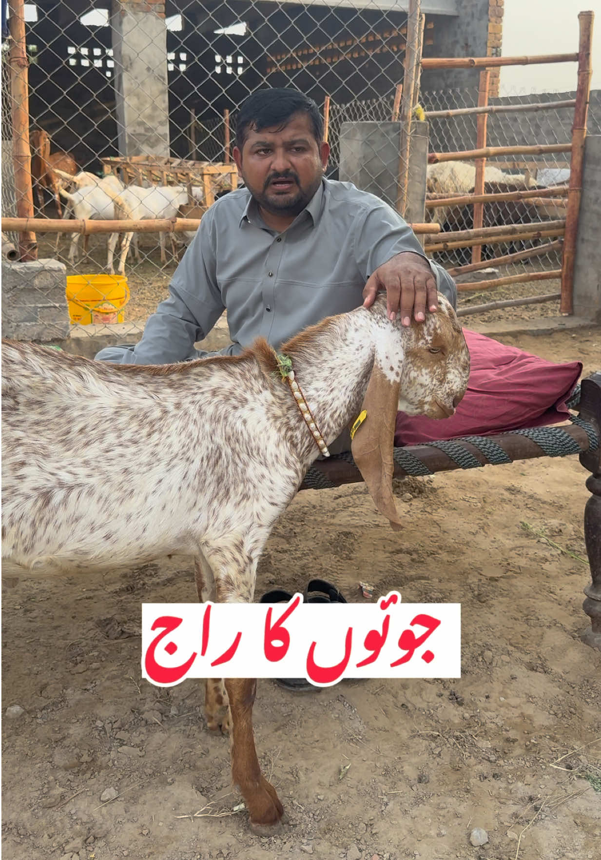 @Dr.Mohsin