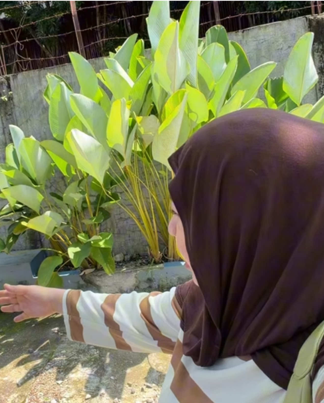 @SERBA BUAH PADANG
