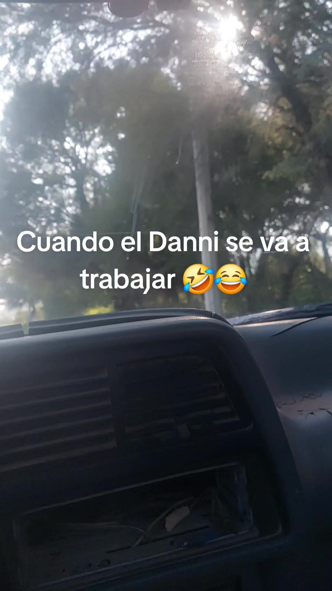 @dani