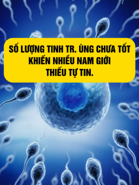 @Phùng Hà canh trứng mát tay