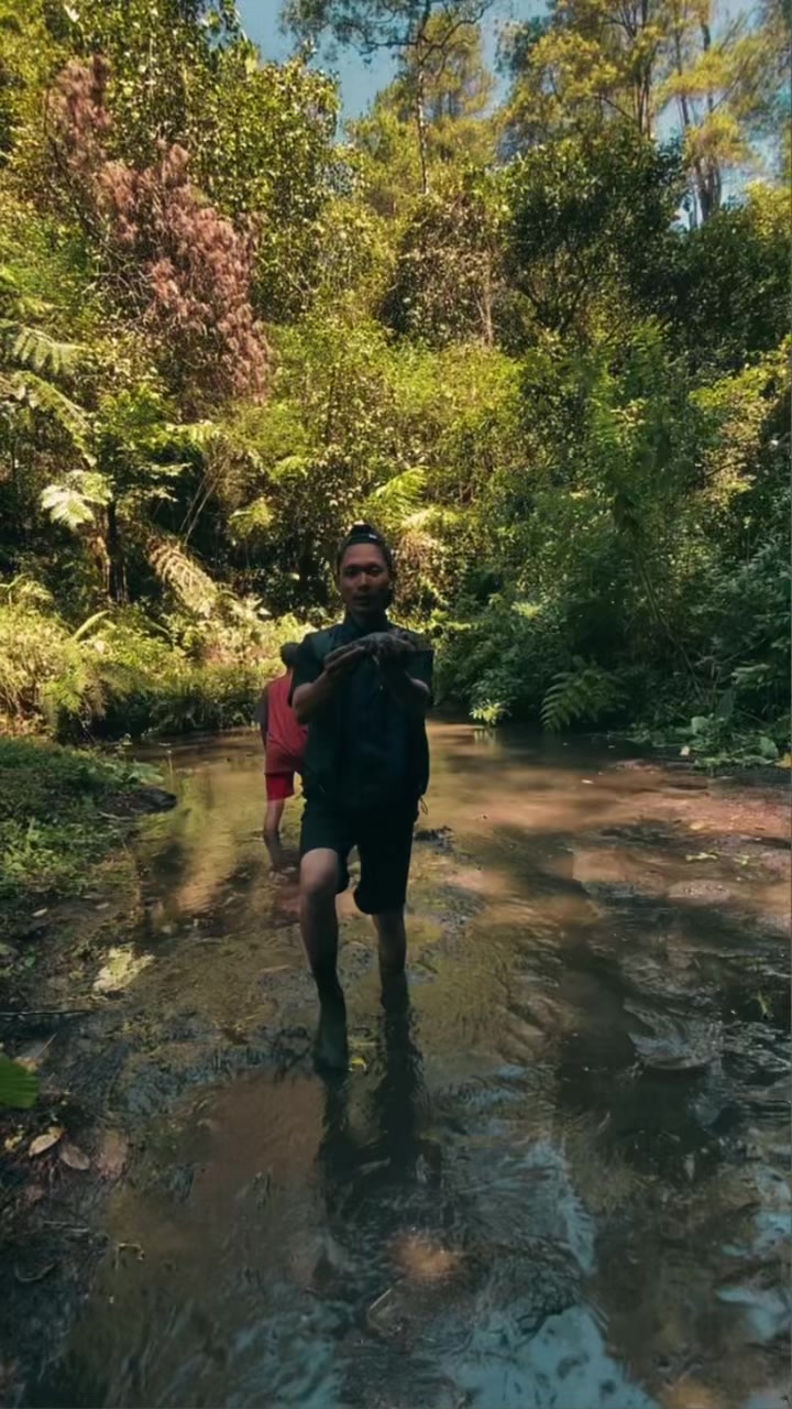 @habriad1
