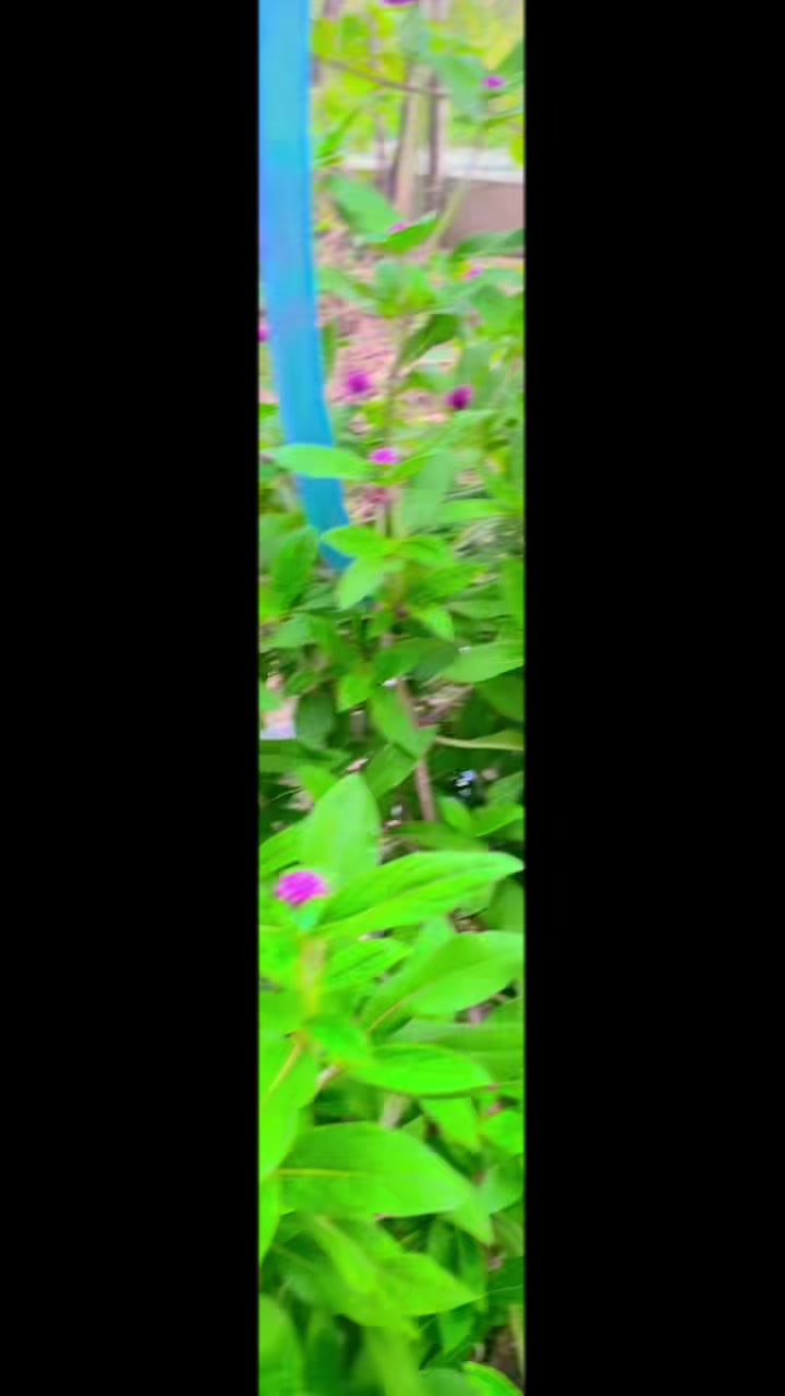 @"๐ณ๐๐๐๐๐ ๐ฐ๐๐๐๐๏ธโ๏ธ๐จ.