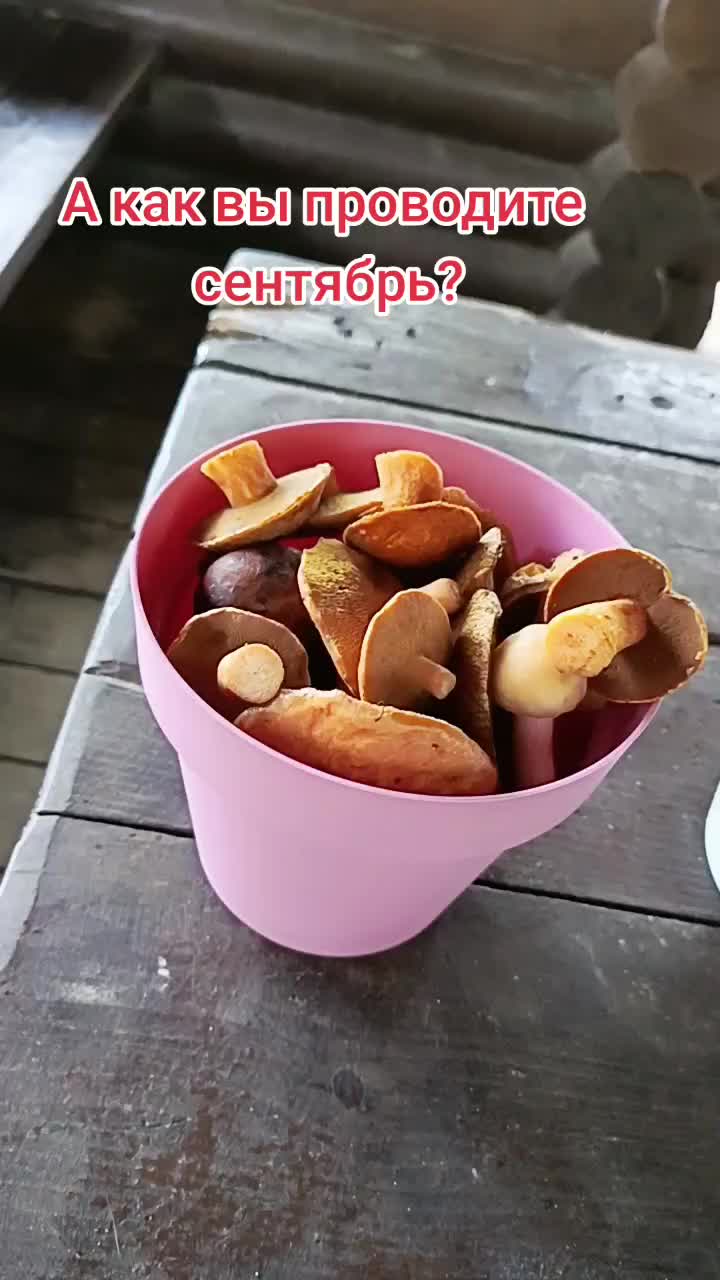 @user2278096979685