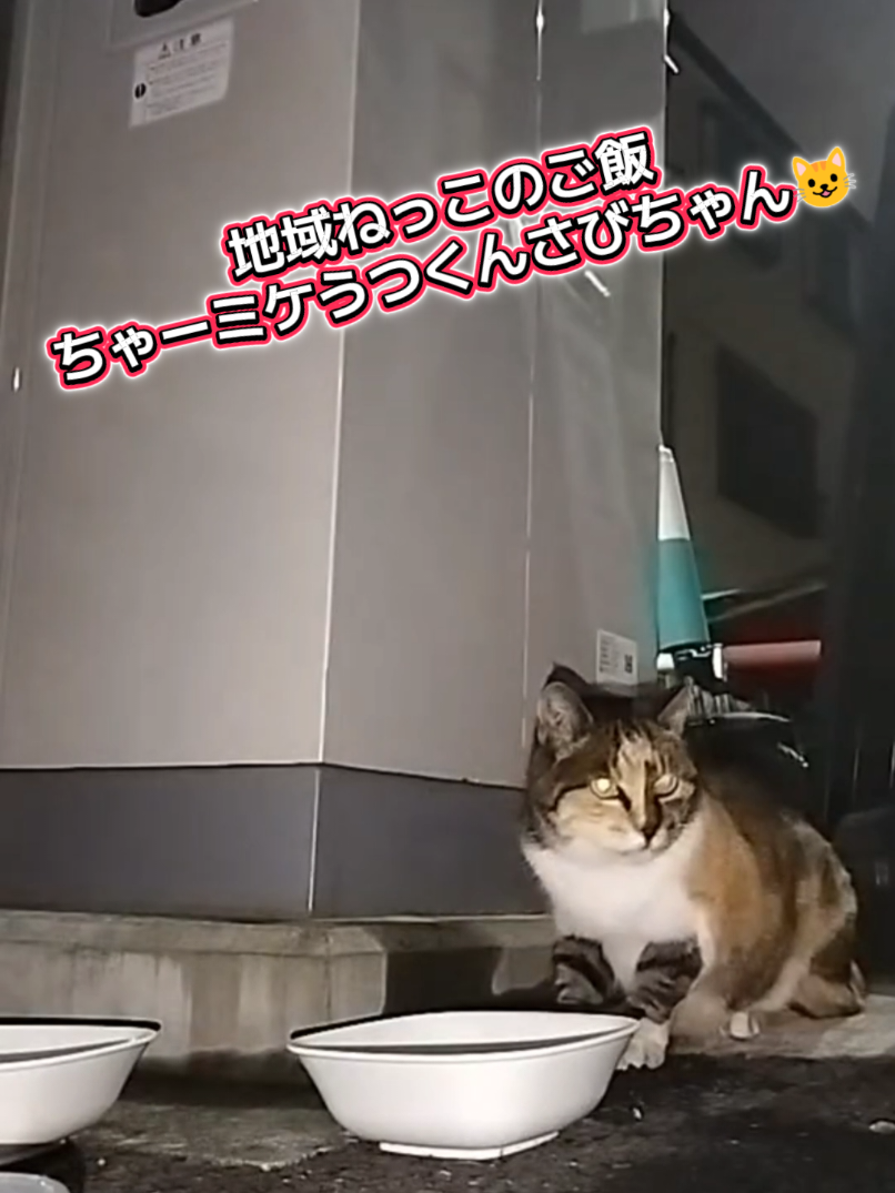 @あきの軍艦巻き😺 🐾 aki🐾