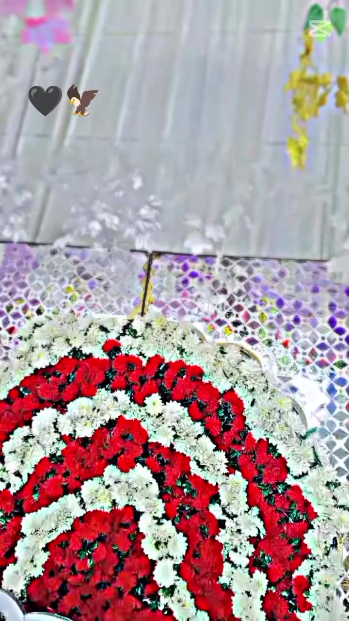 @⚜️ Rehman Arshad 👑