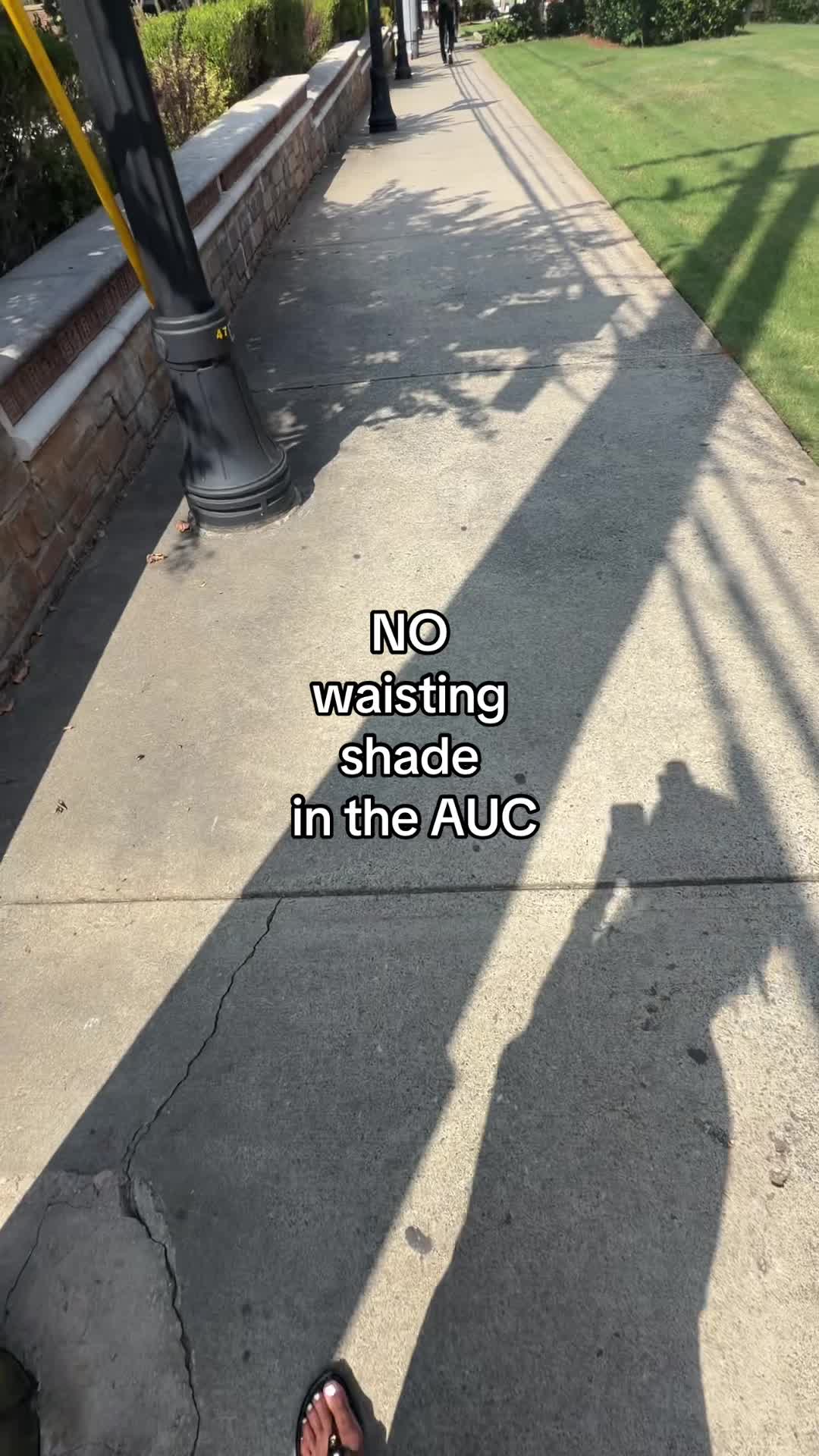 @ava
