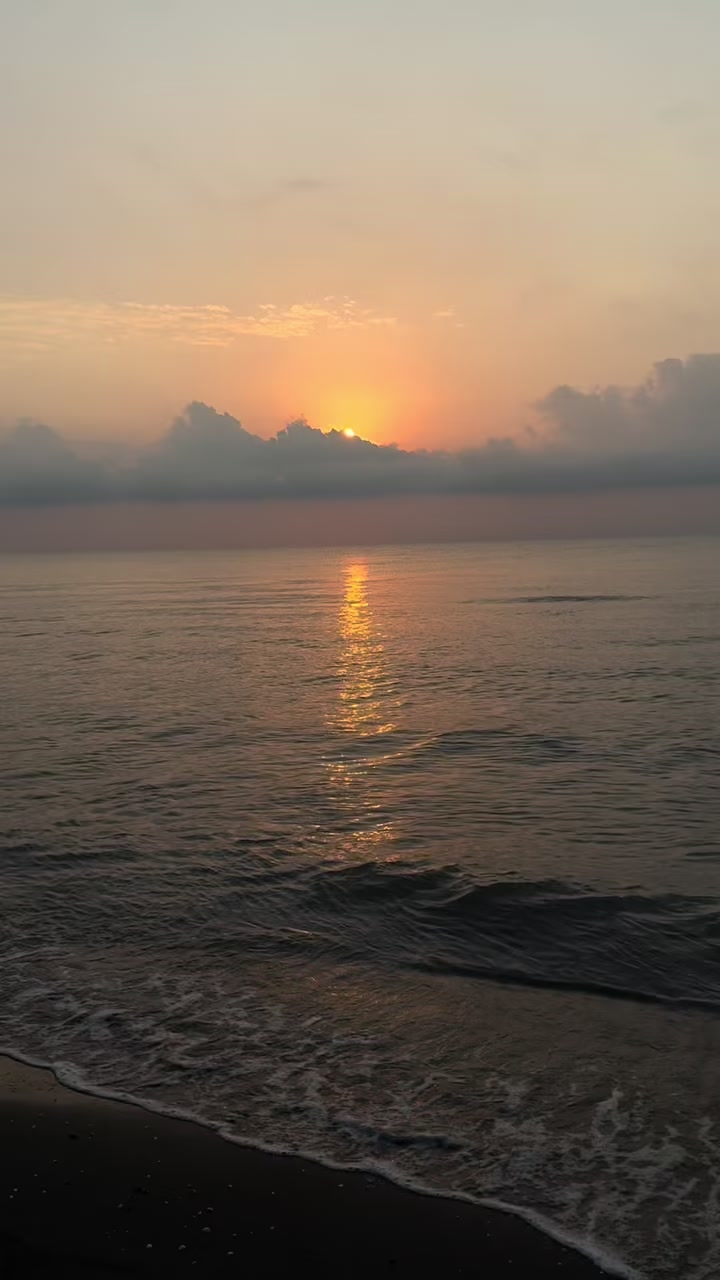 @Moon_night_