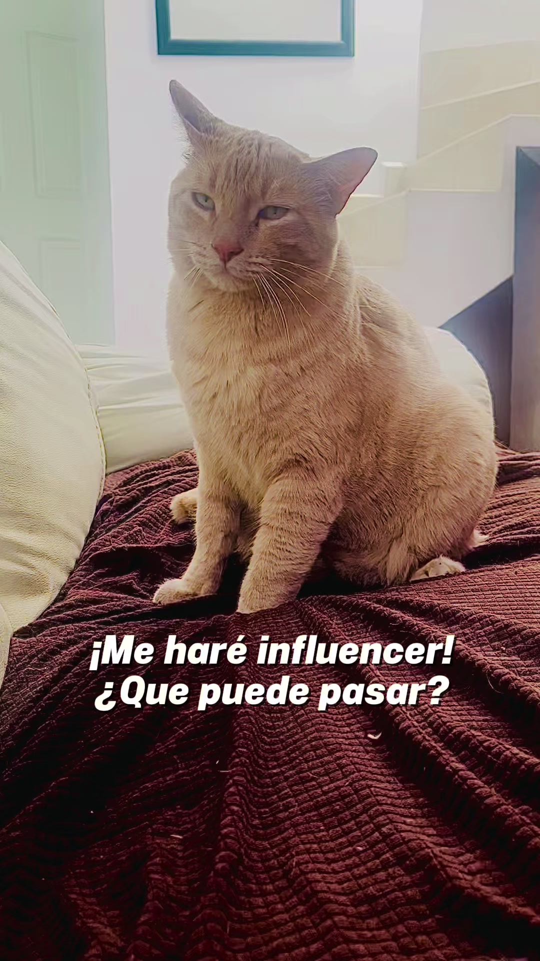 @Wilson Yeyé