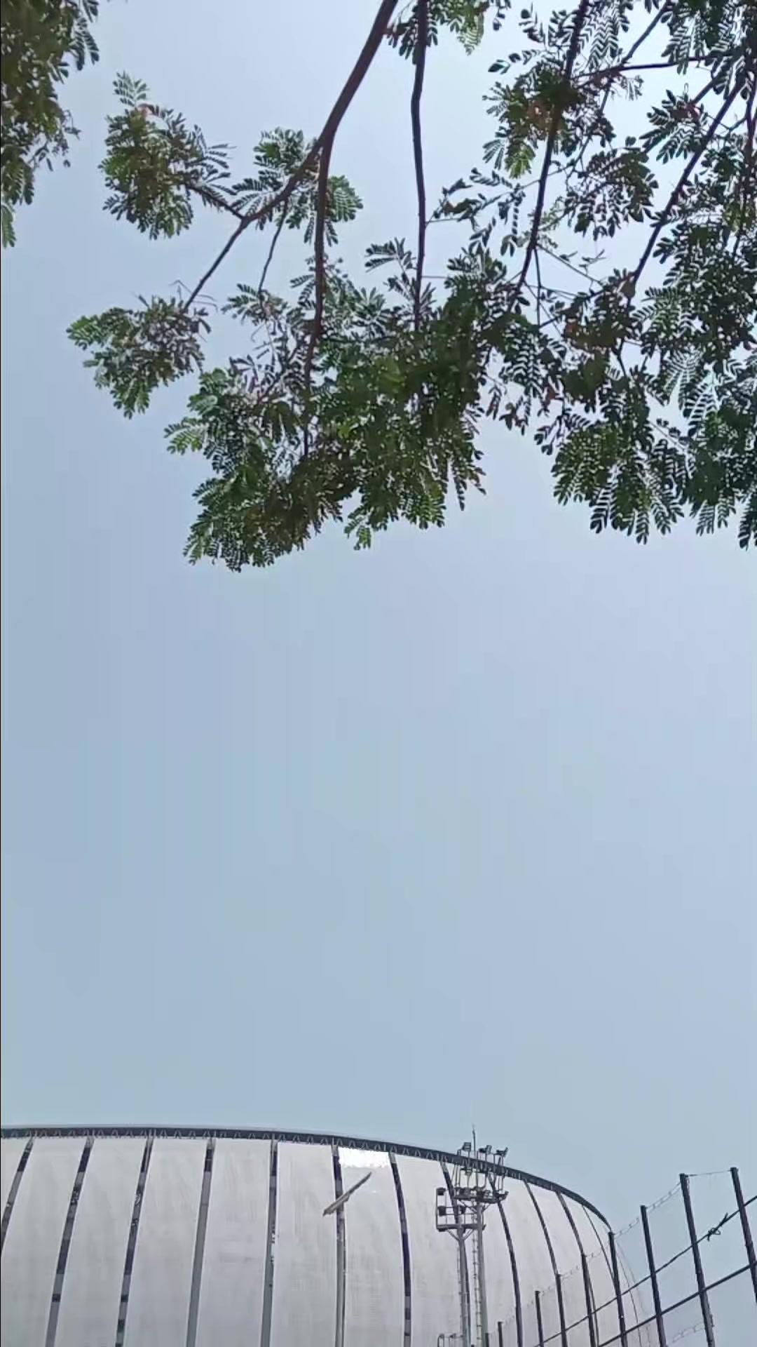 @ArifKingkong_