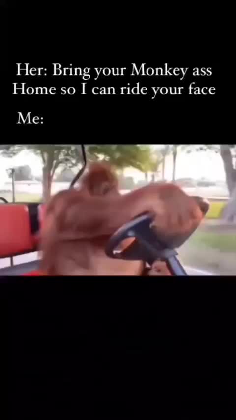 @ernest