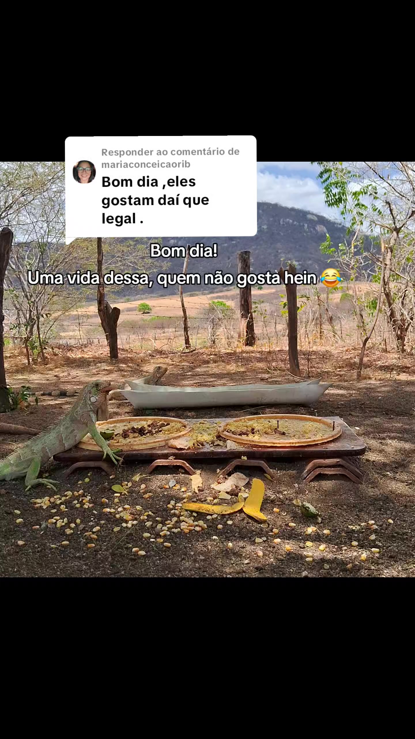@Amante da natureza