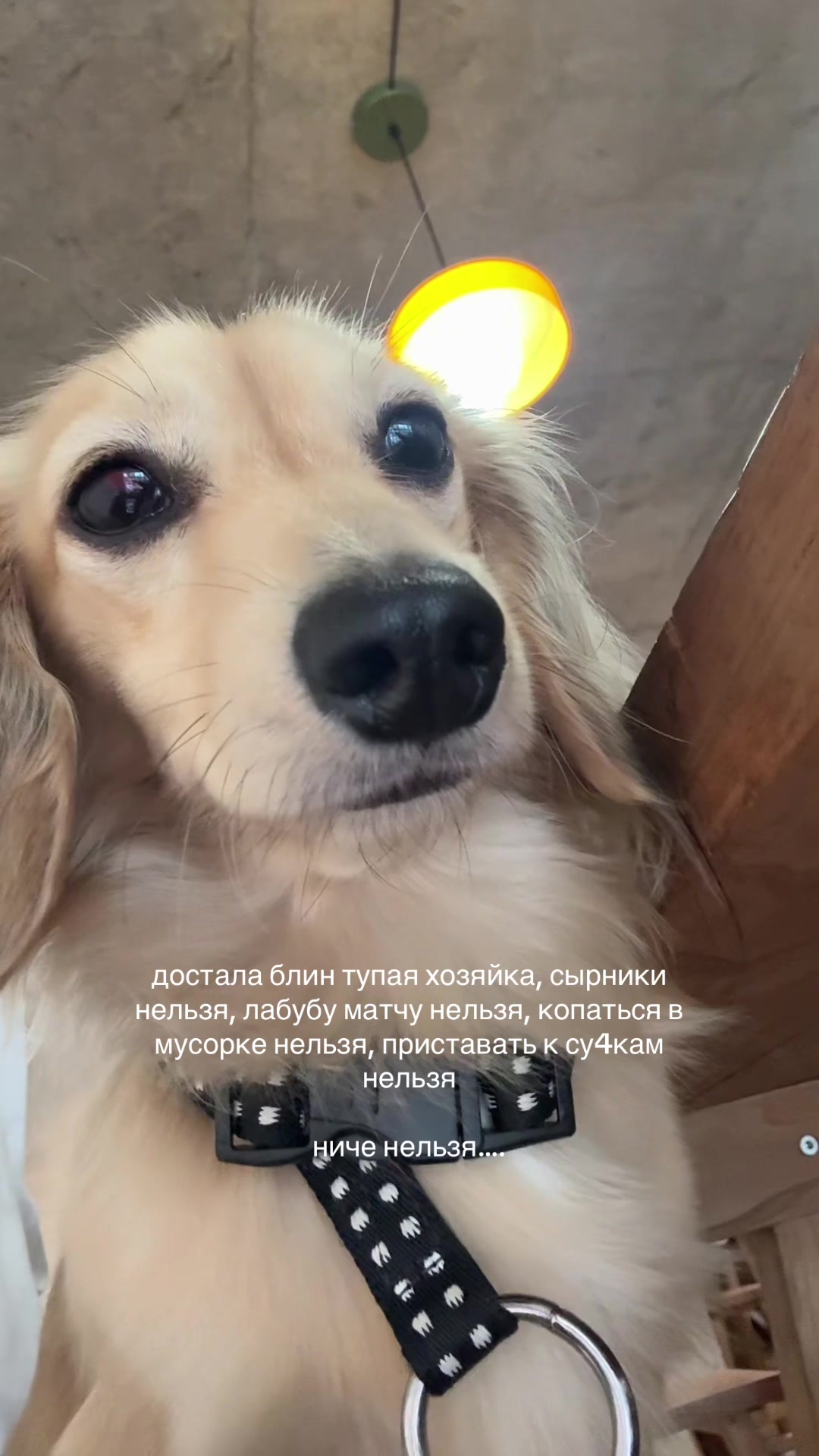 @алина марковка