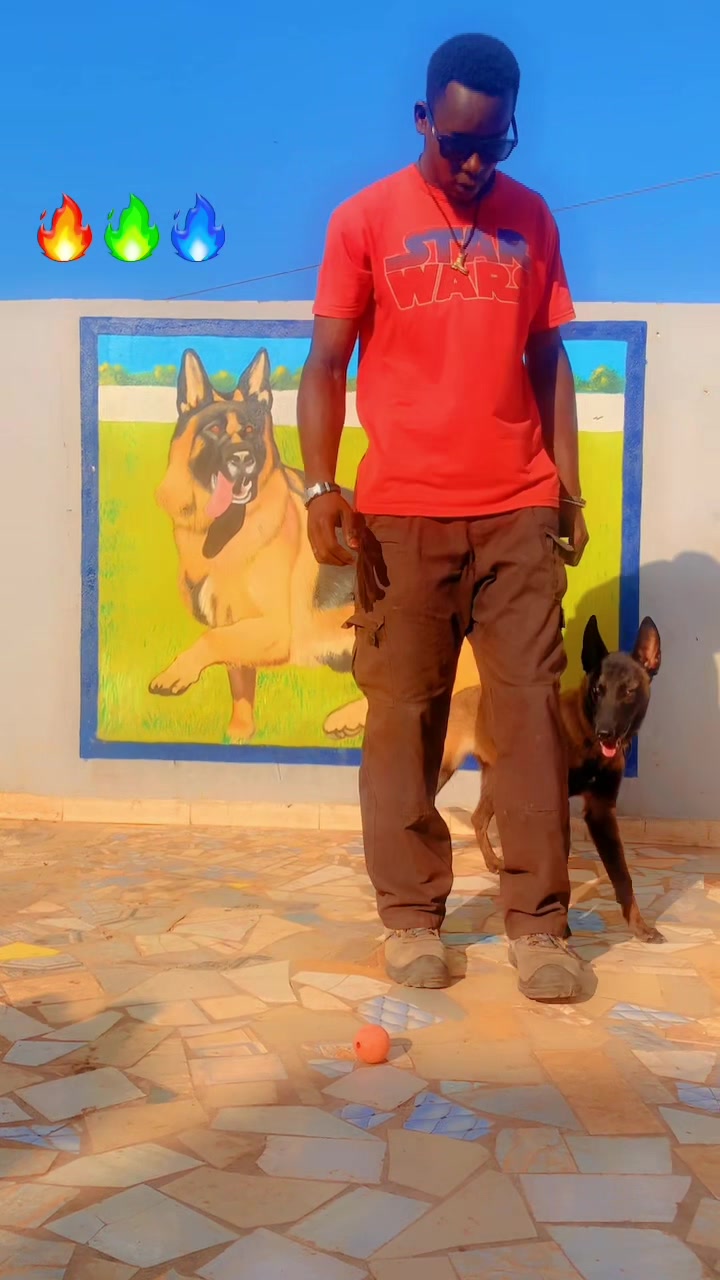@G.I.C.N 🇸🇳🐾Ma&icirc;tre Weuz🐕&zwj;🦺