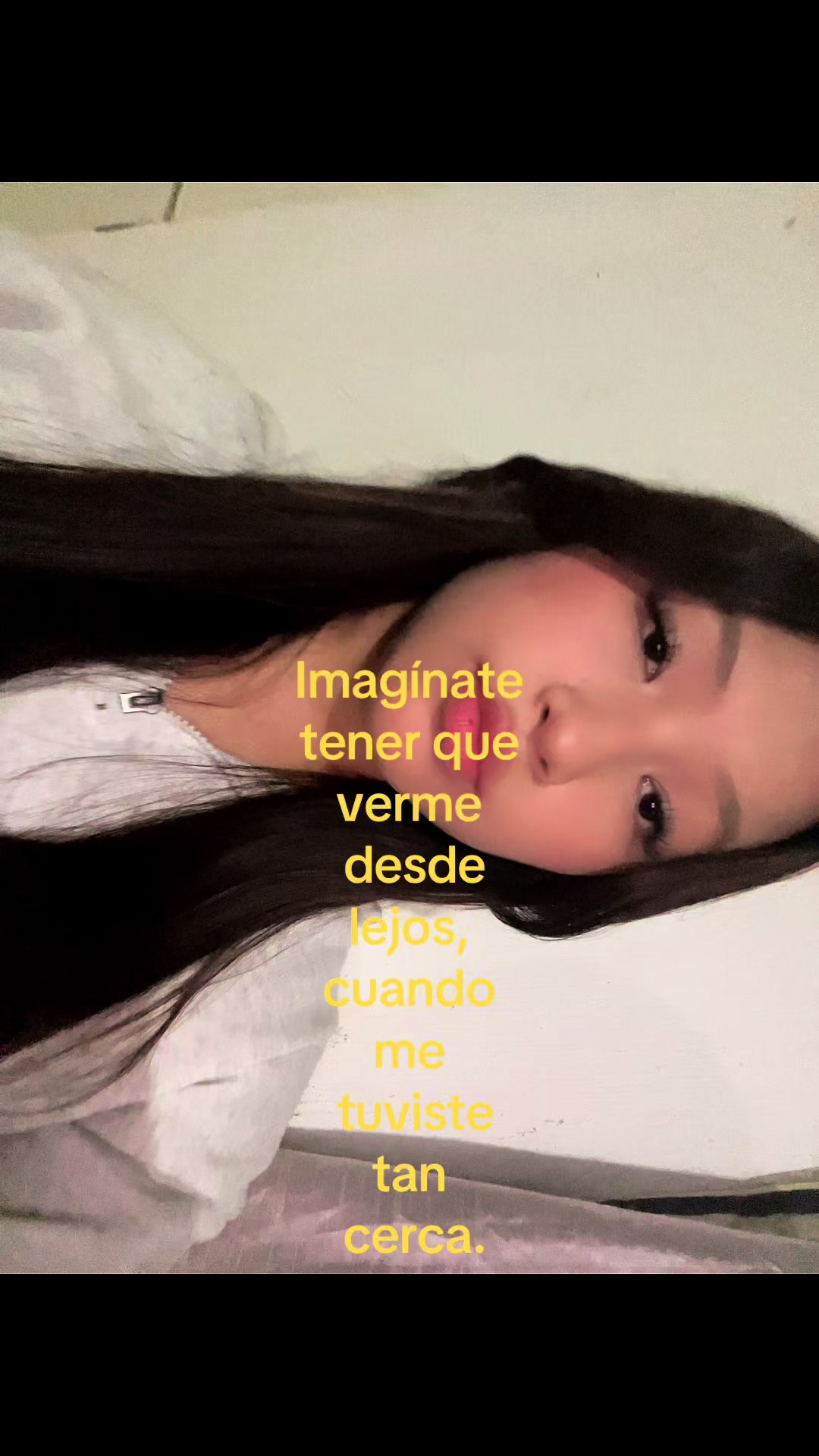 @Lili🐾!