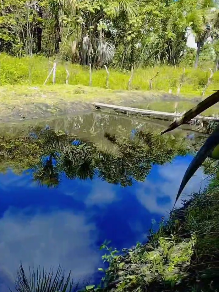 @PAULO VIANA