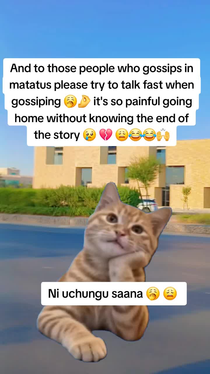 @Miss Vibez ๐ค๐๐