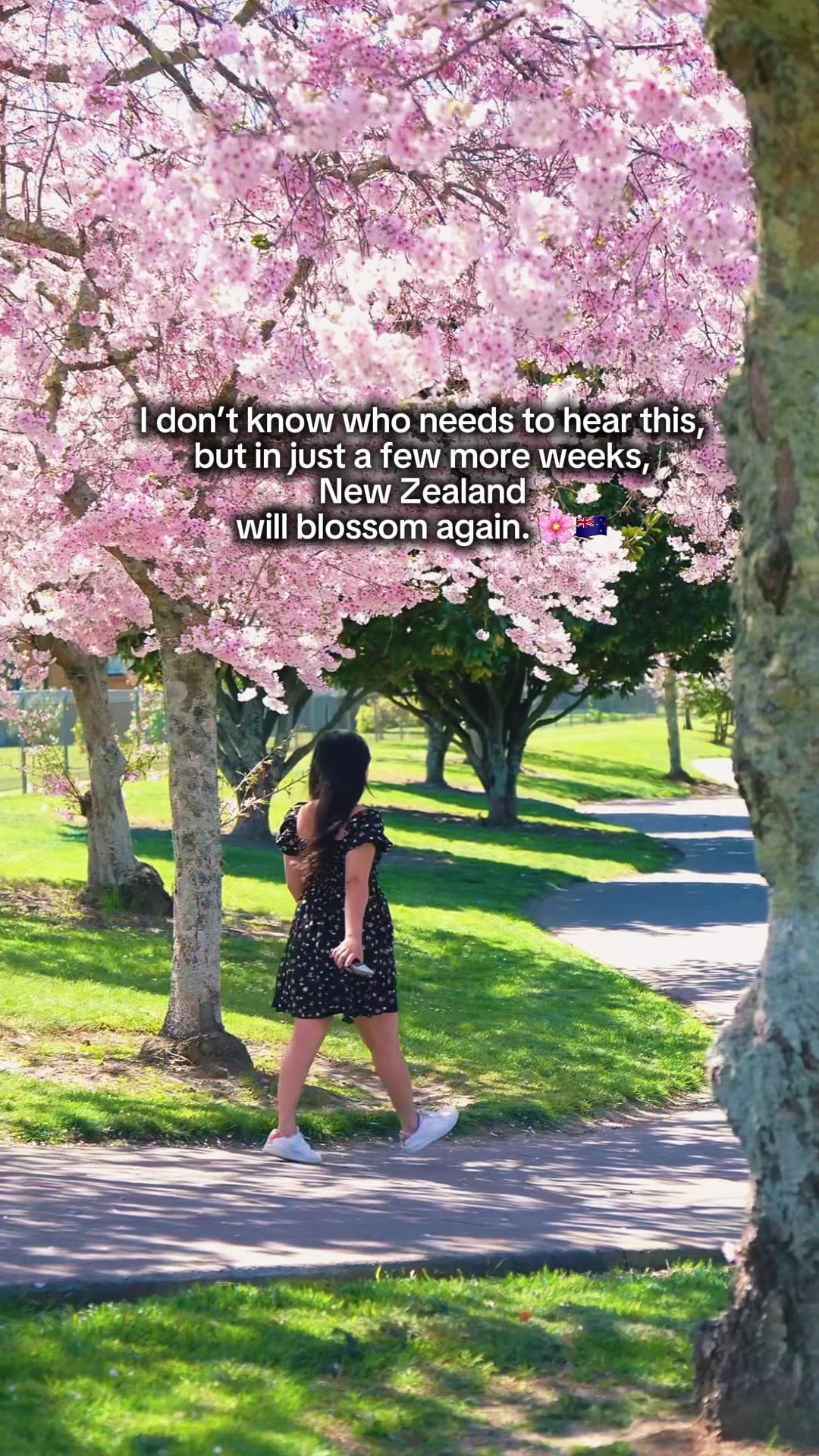 @Pinoy Traveller in New Zealand