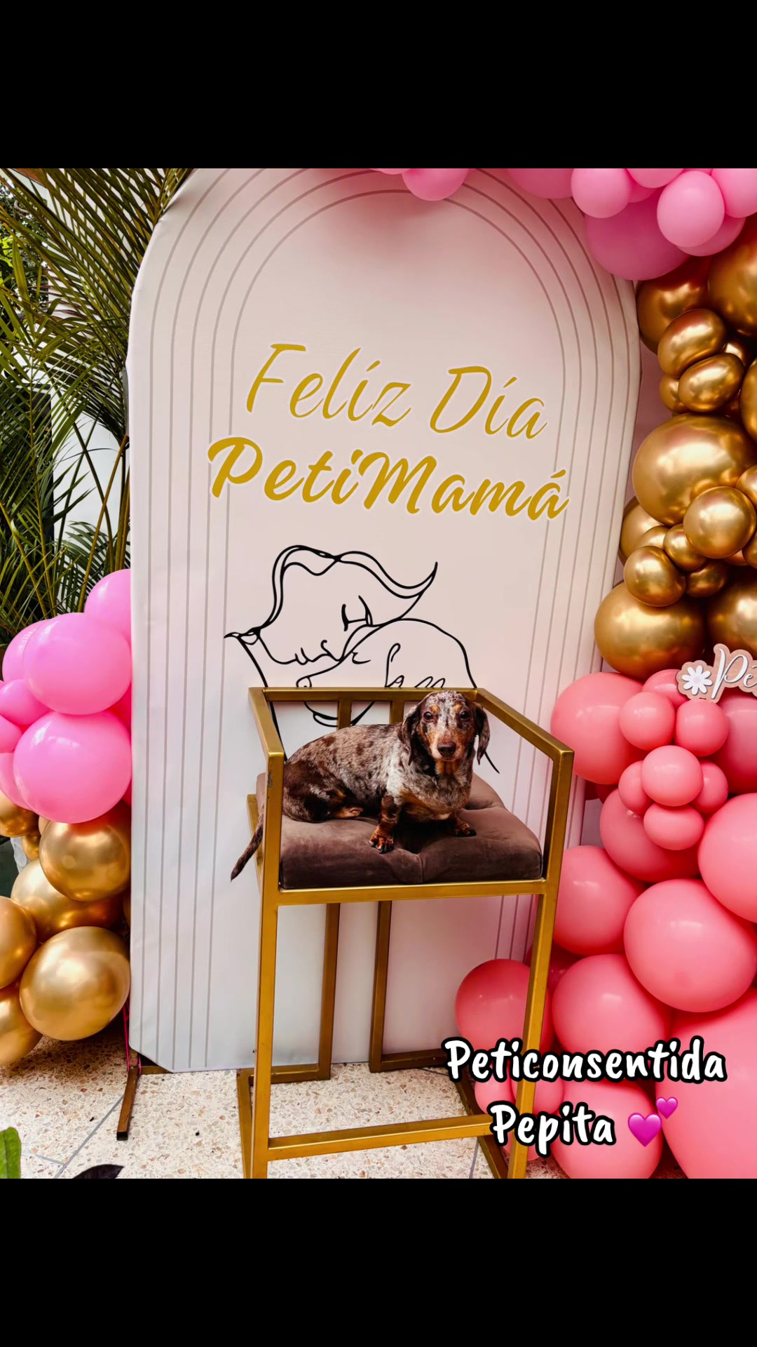 @🐾 Petisos 🐾