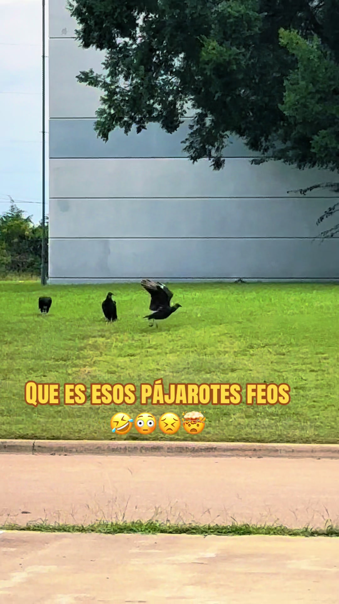 @Jackie cazares 🍑 🇲🇽✨