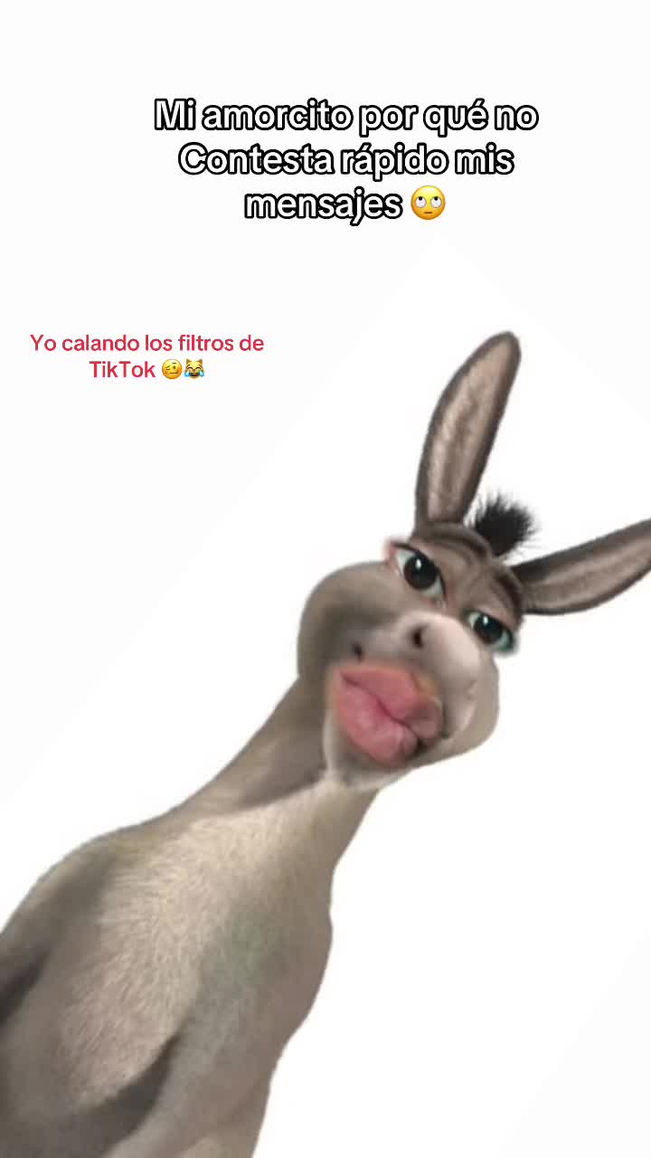 @🤍~Mãrtínëz~