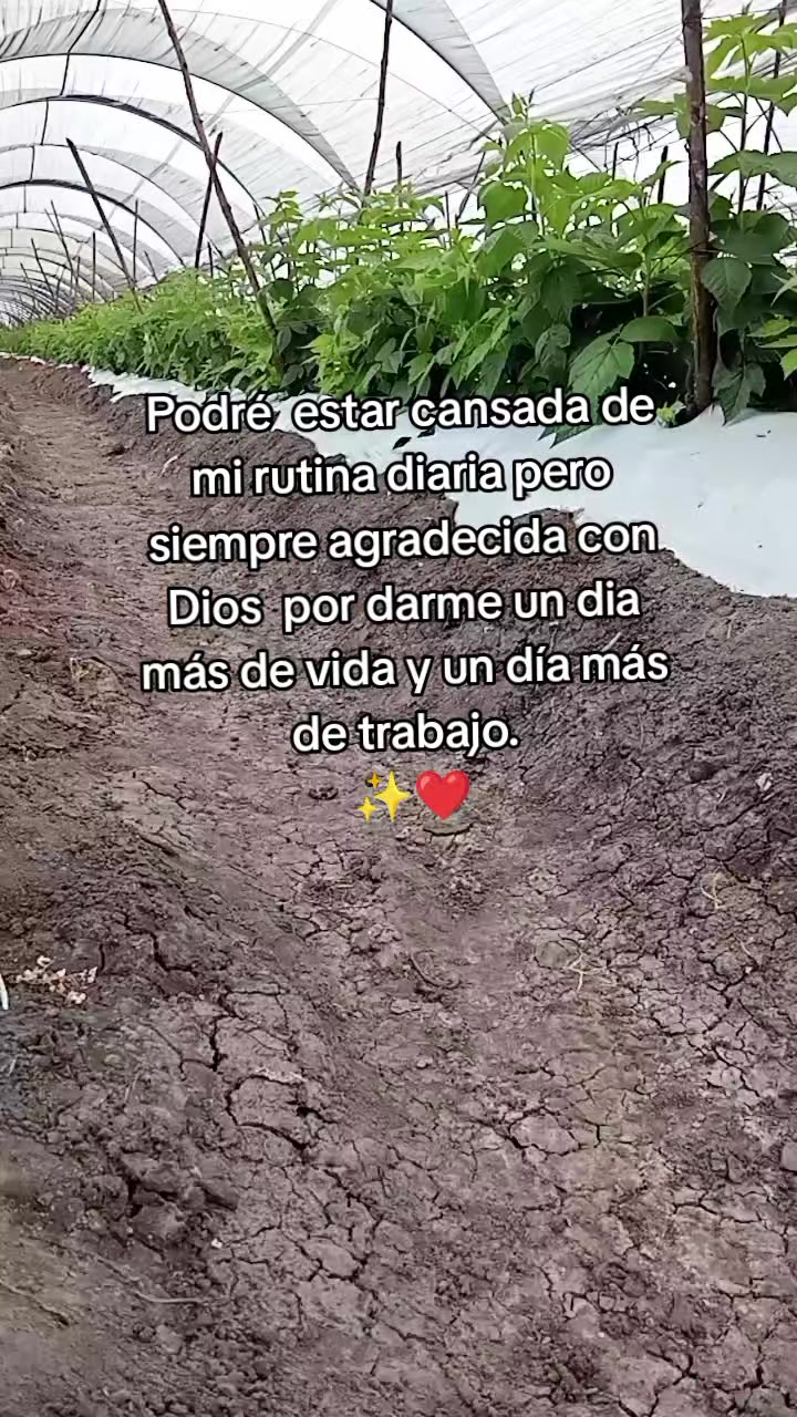 @Isabel Cervantes