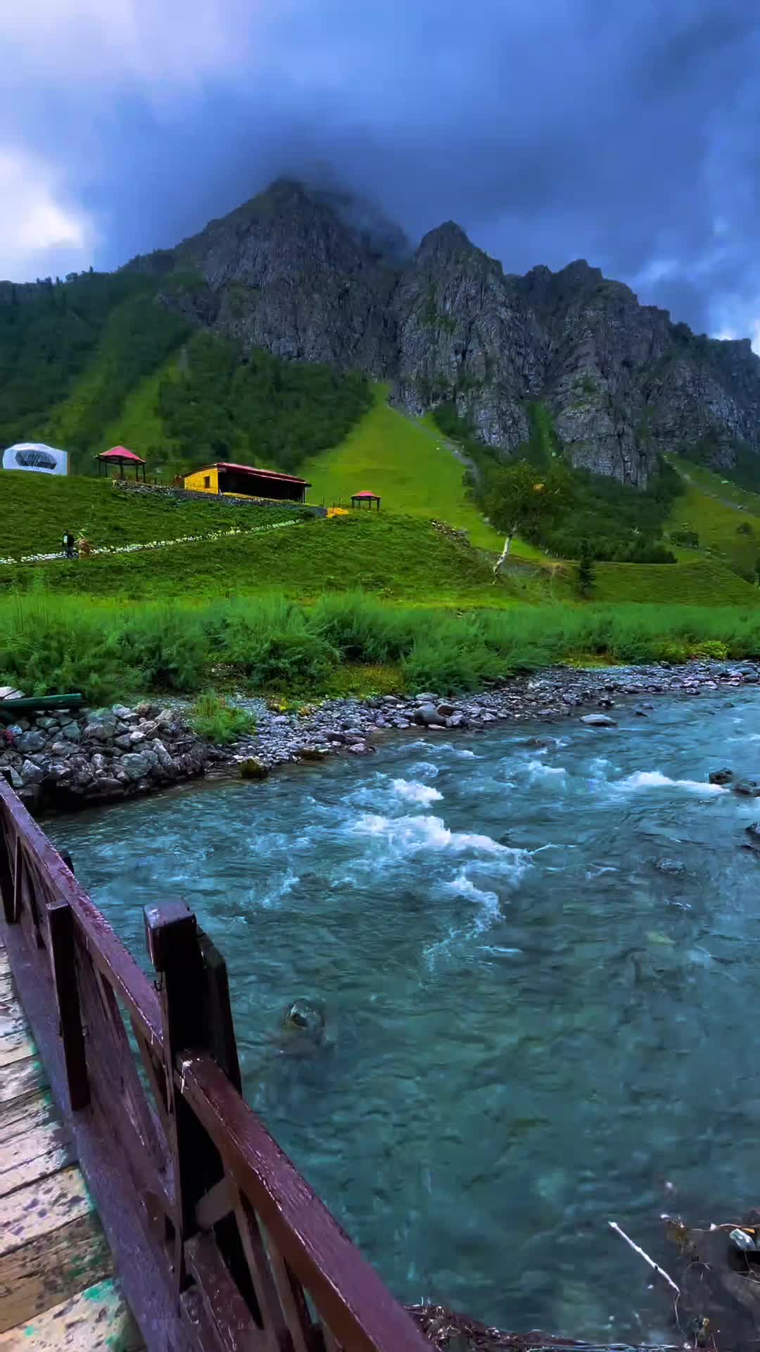 @RehNorth ๐๏ธ