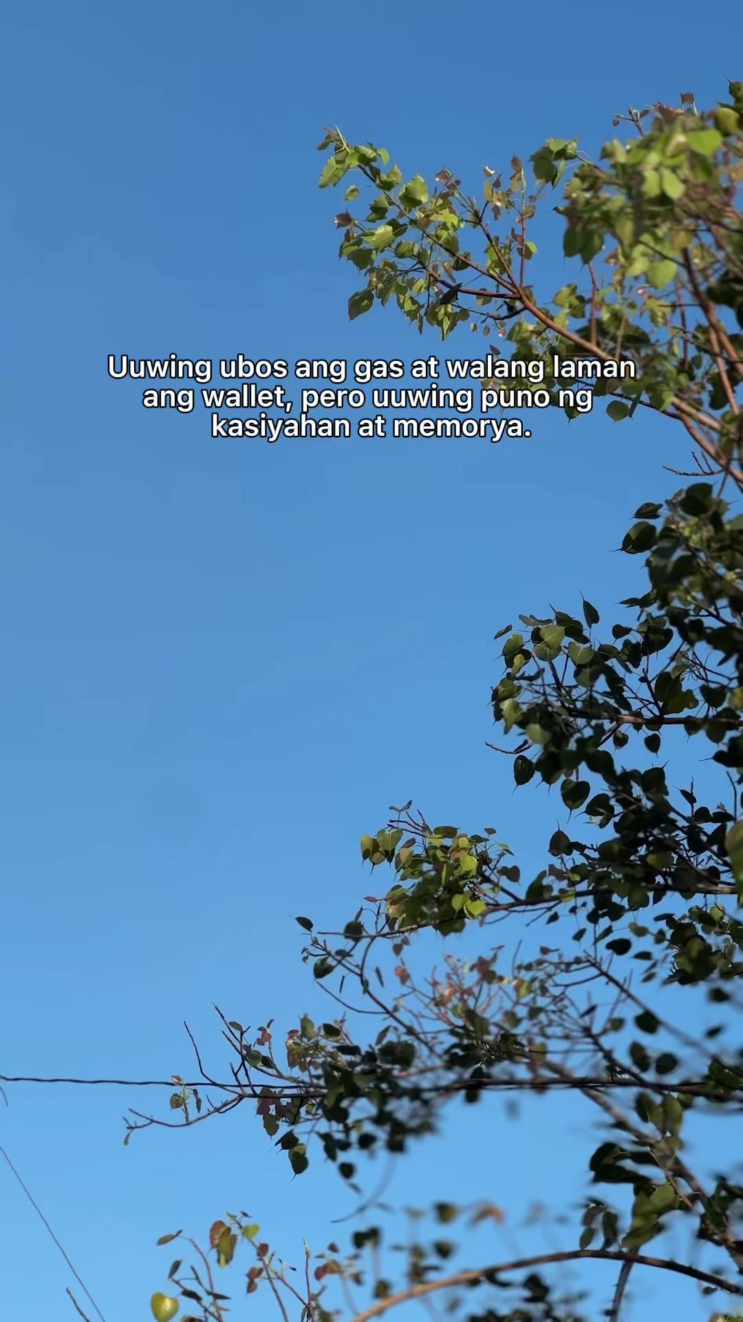 @R EVANGELISTA JR