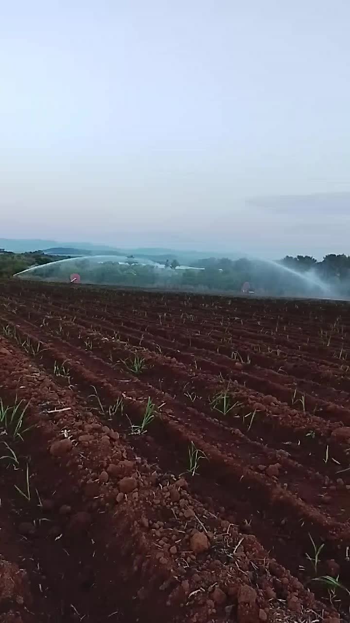@antonioferreirapa