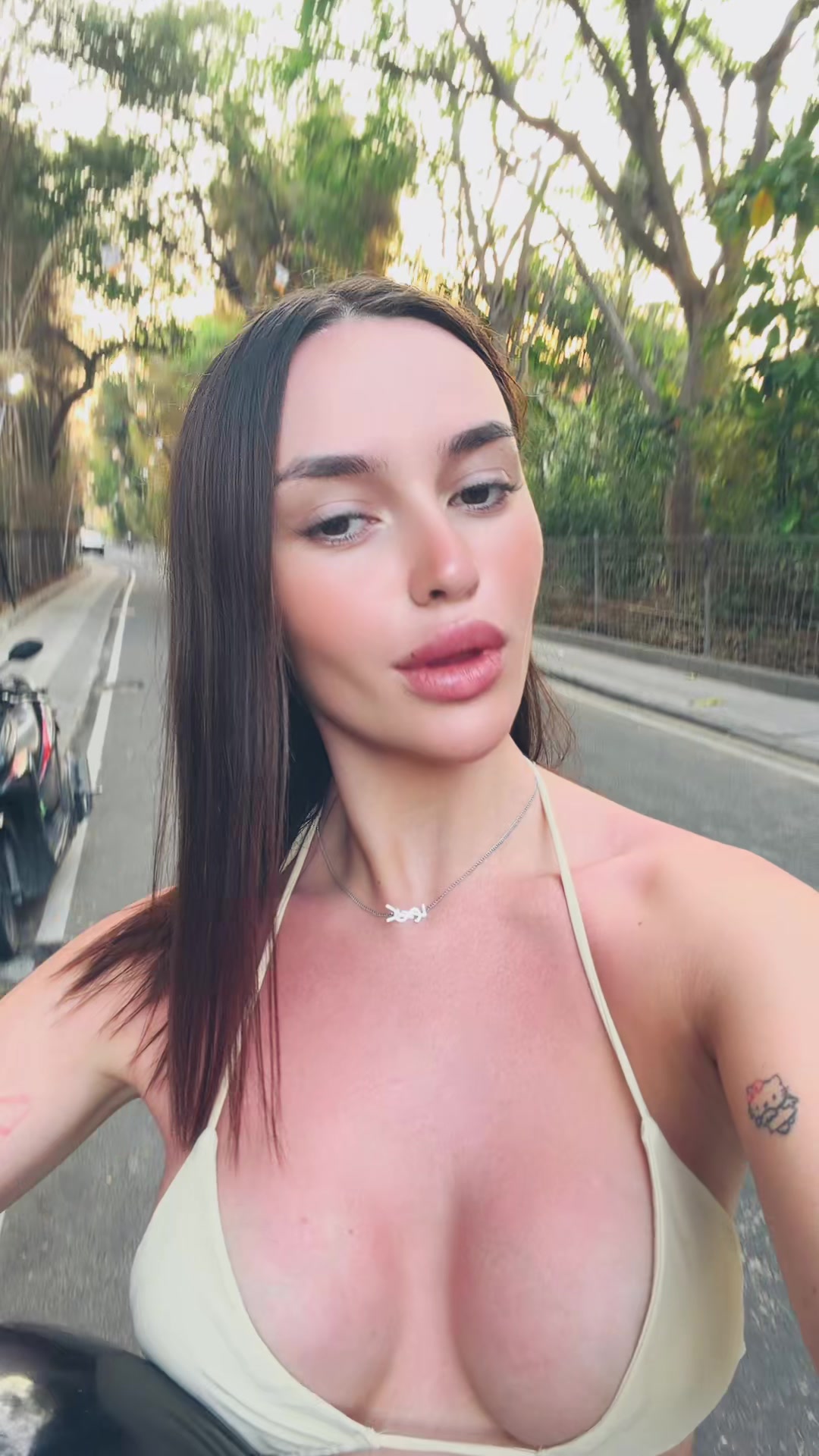 @INST : dvllasova