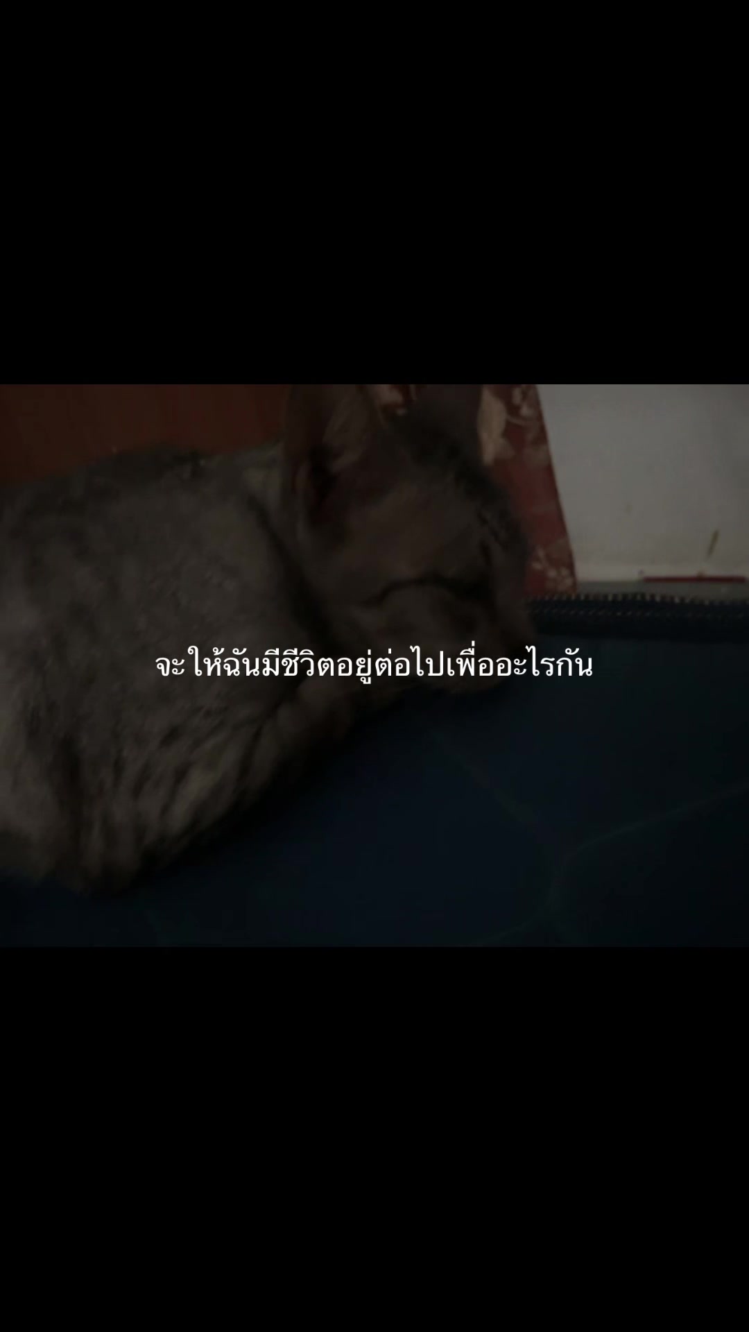 @ʀʏᴜꜱᴏ