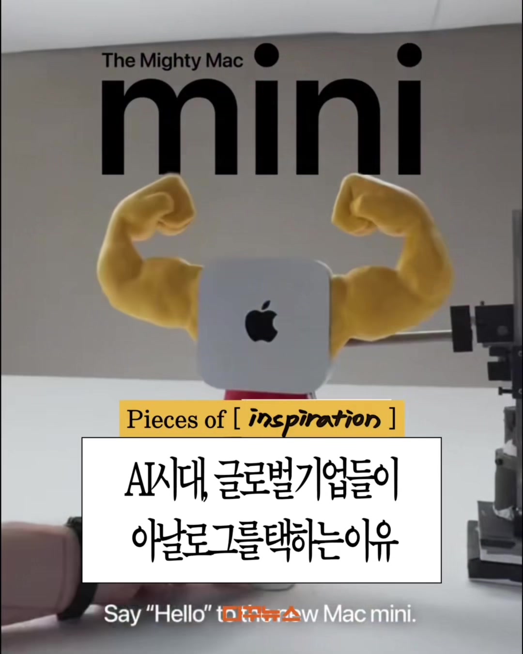@다꾸뉴스
