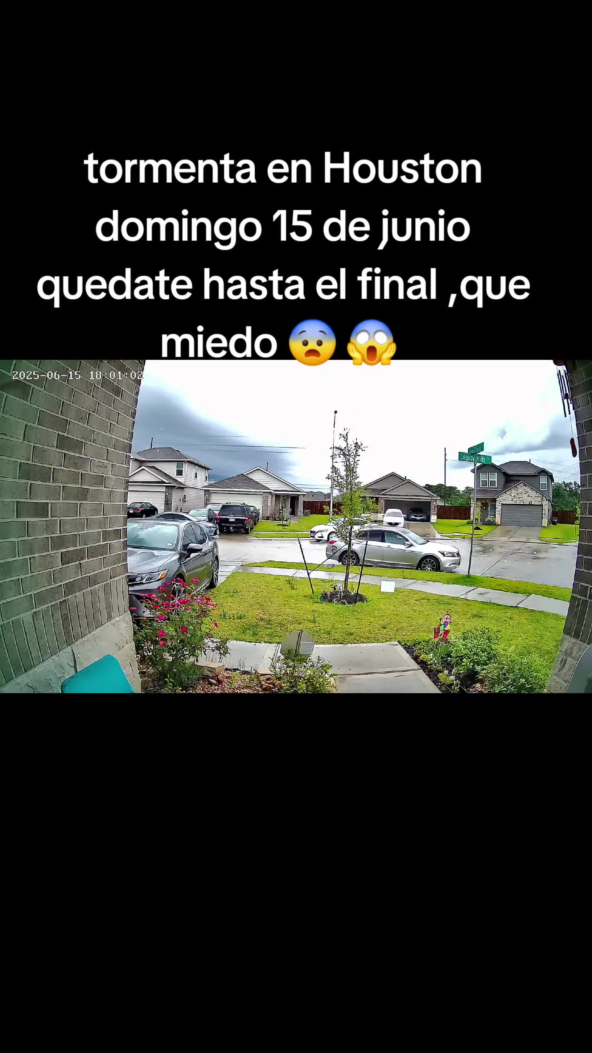 @jackypimentel