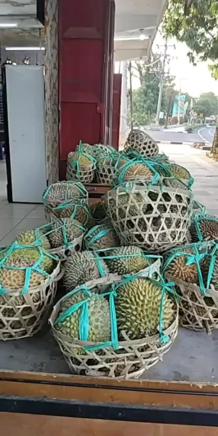 @Kenzhi Durian Tuban