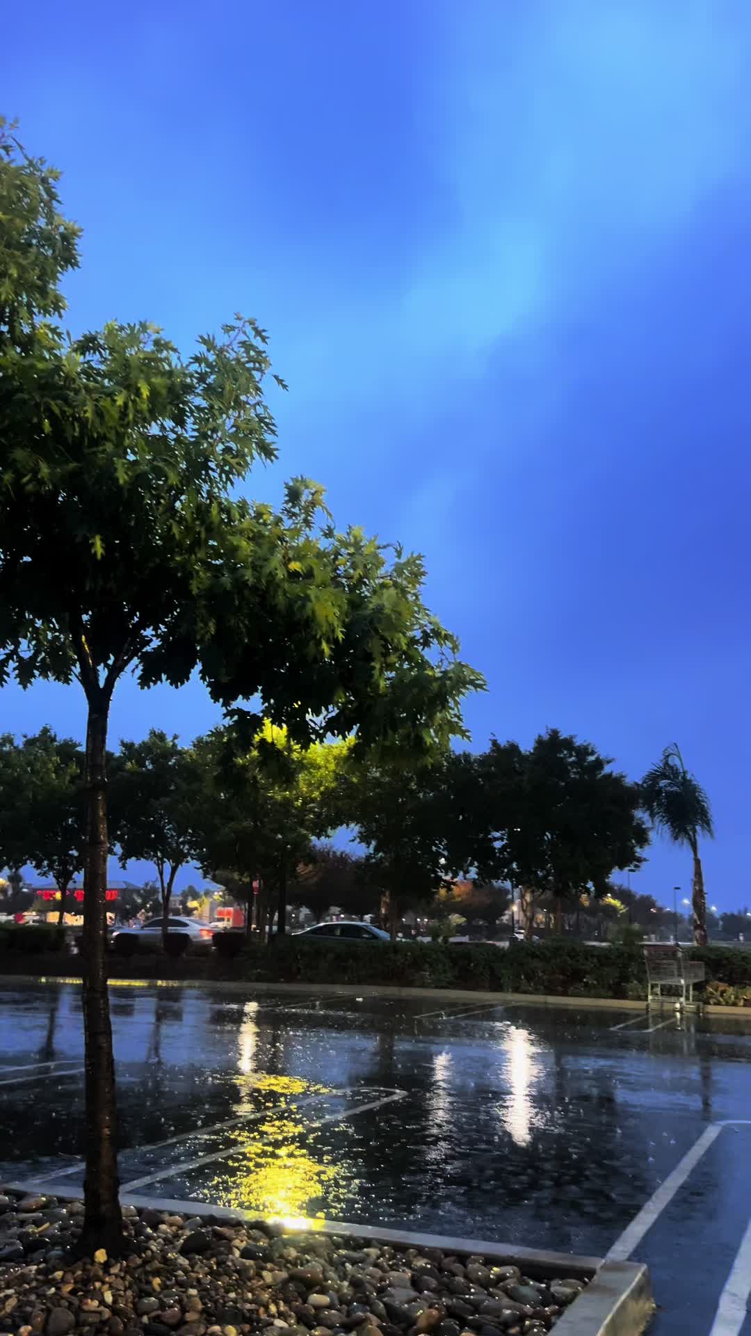 @🥰Ali🌹