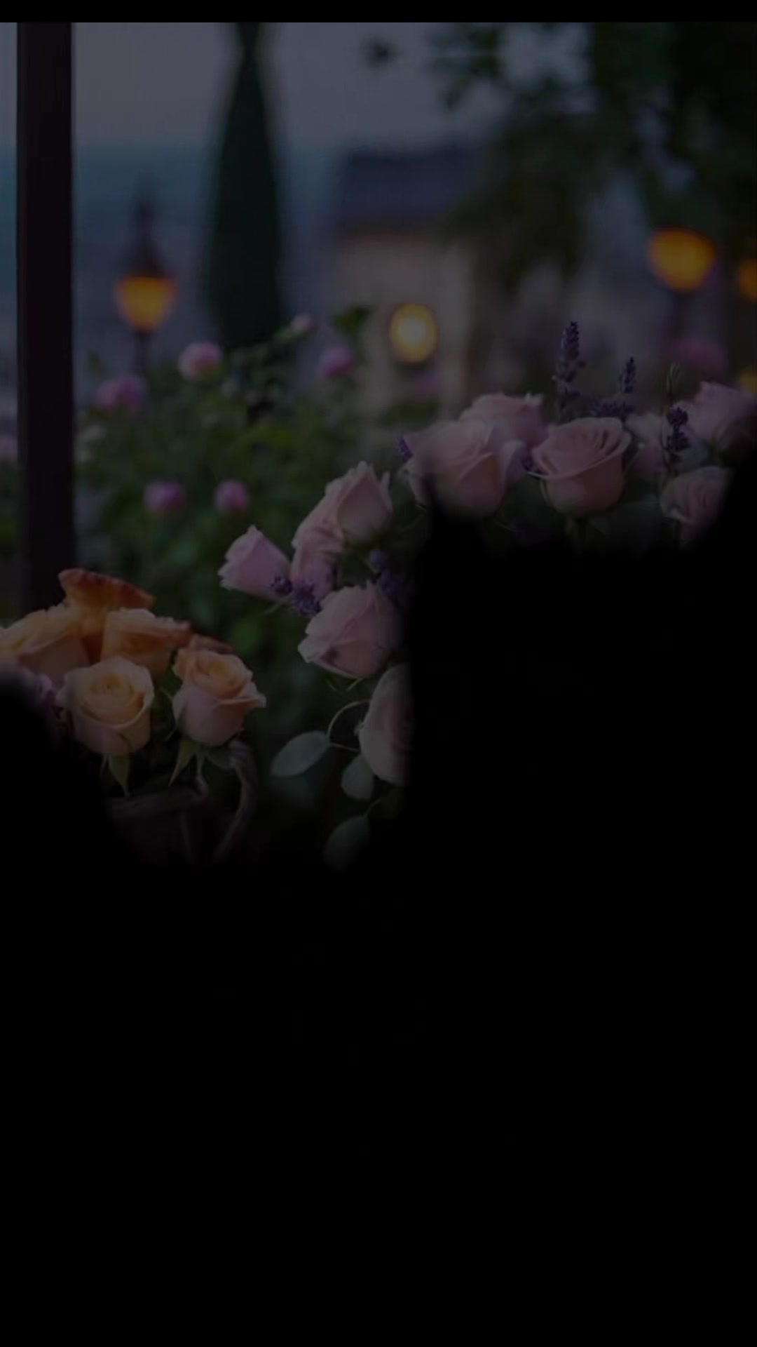 @𝐁𝐊𝐖𝐑𝐈𝐓𝐄𝐒 🫶🌹🦜