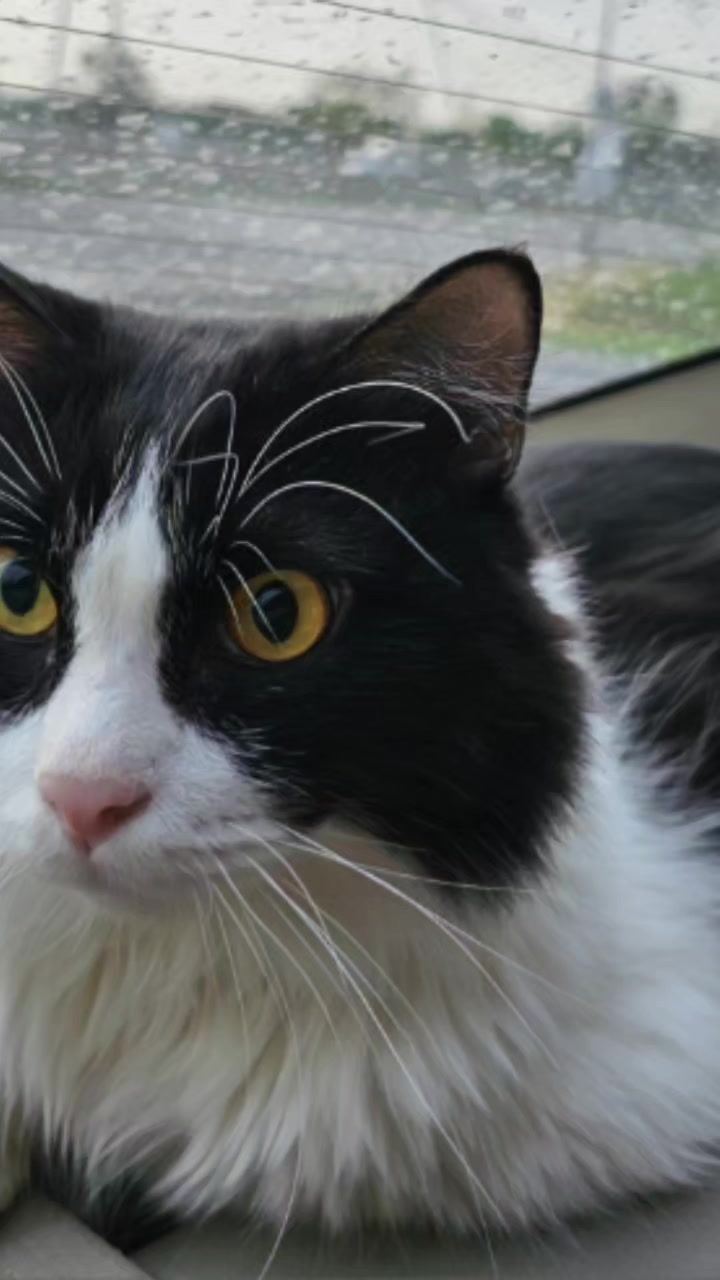 @layjudfamily🐾🐱