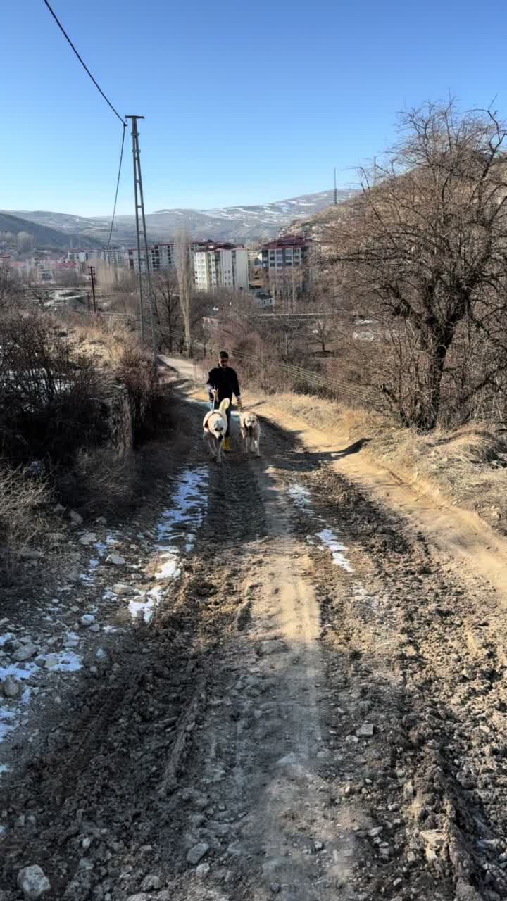 @Gürün.kennels58