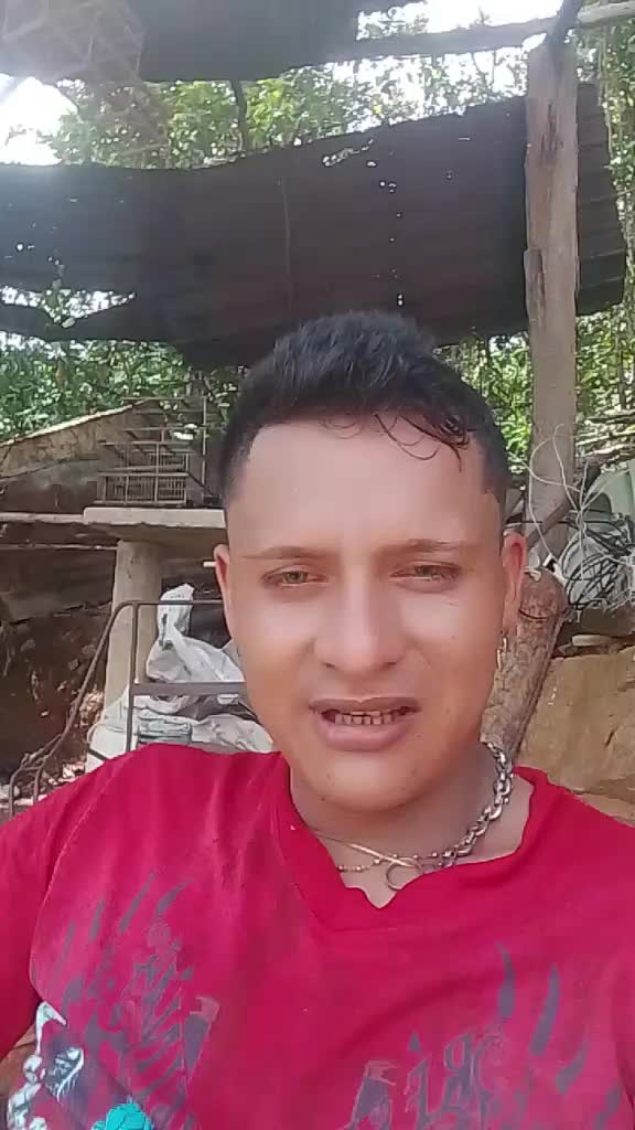 @José David