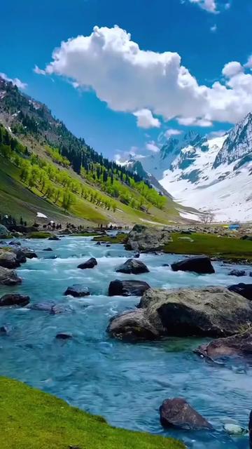 @Happy jangla 307