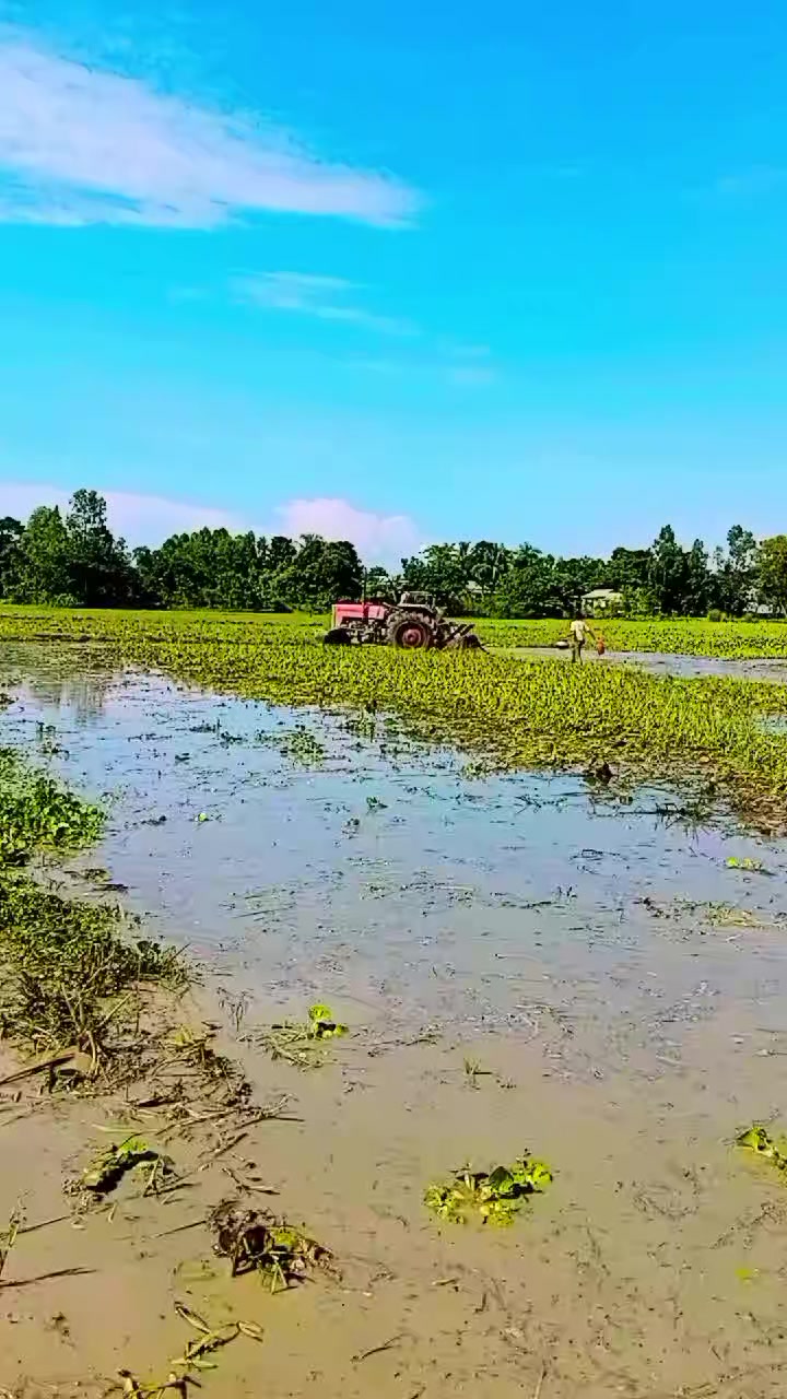 @গরিবের বন্ধু জাকির ভাই