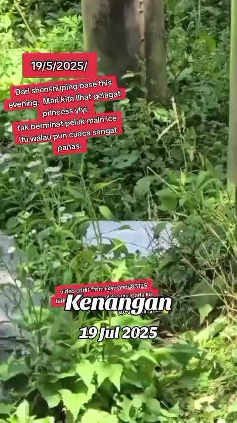 @AmirulMirul3