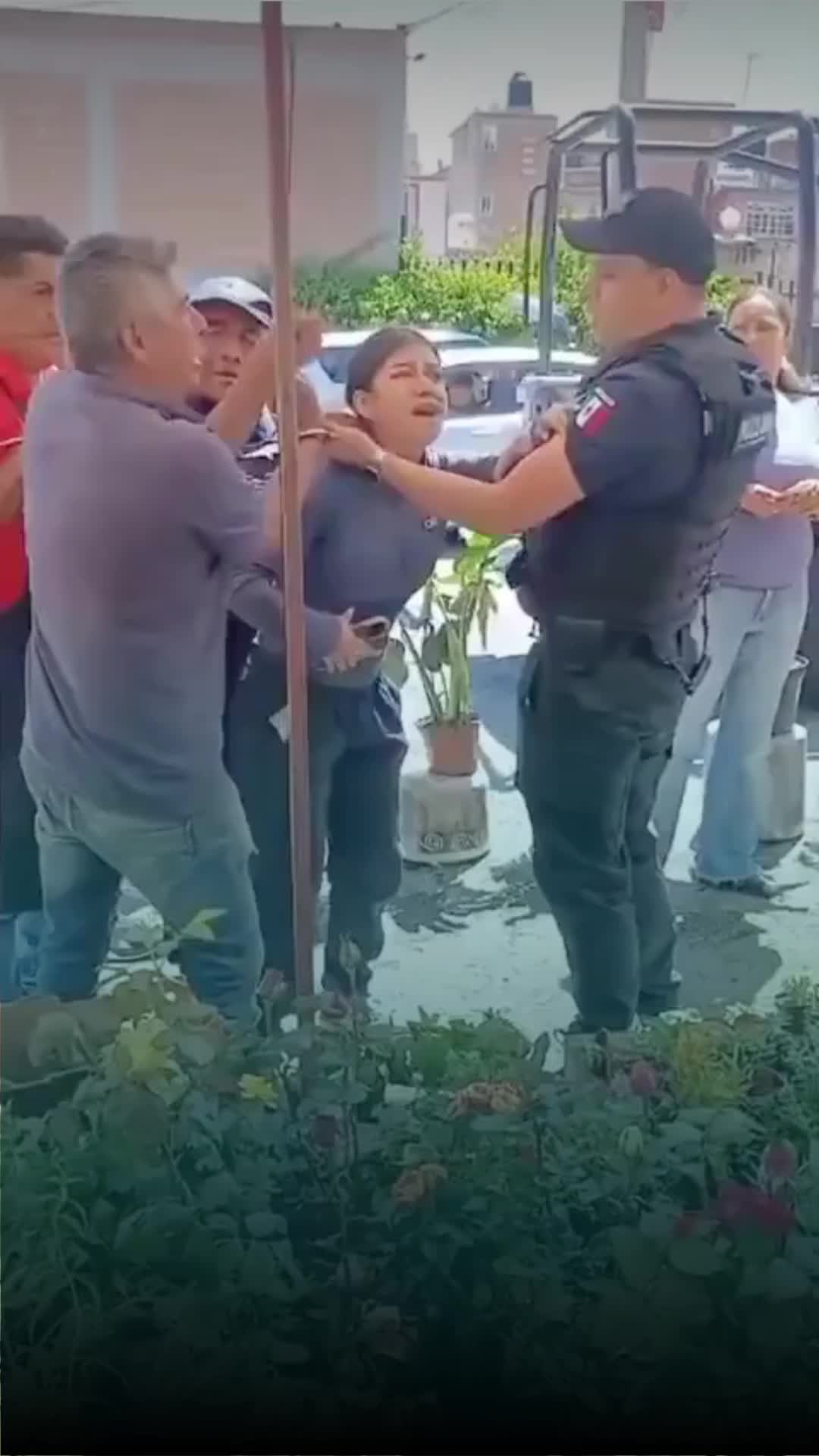 @Entre líneas
