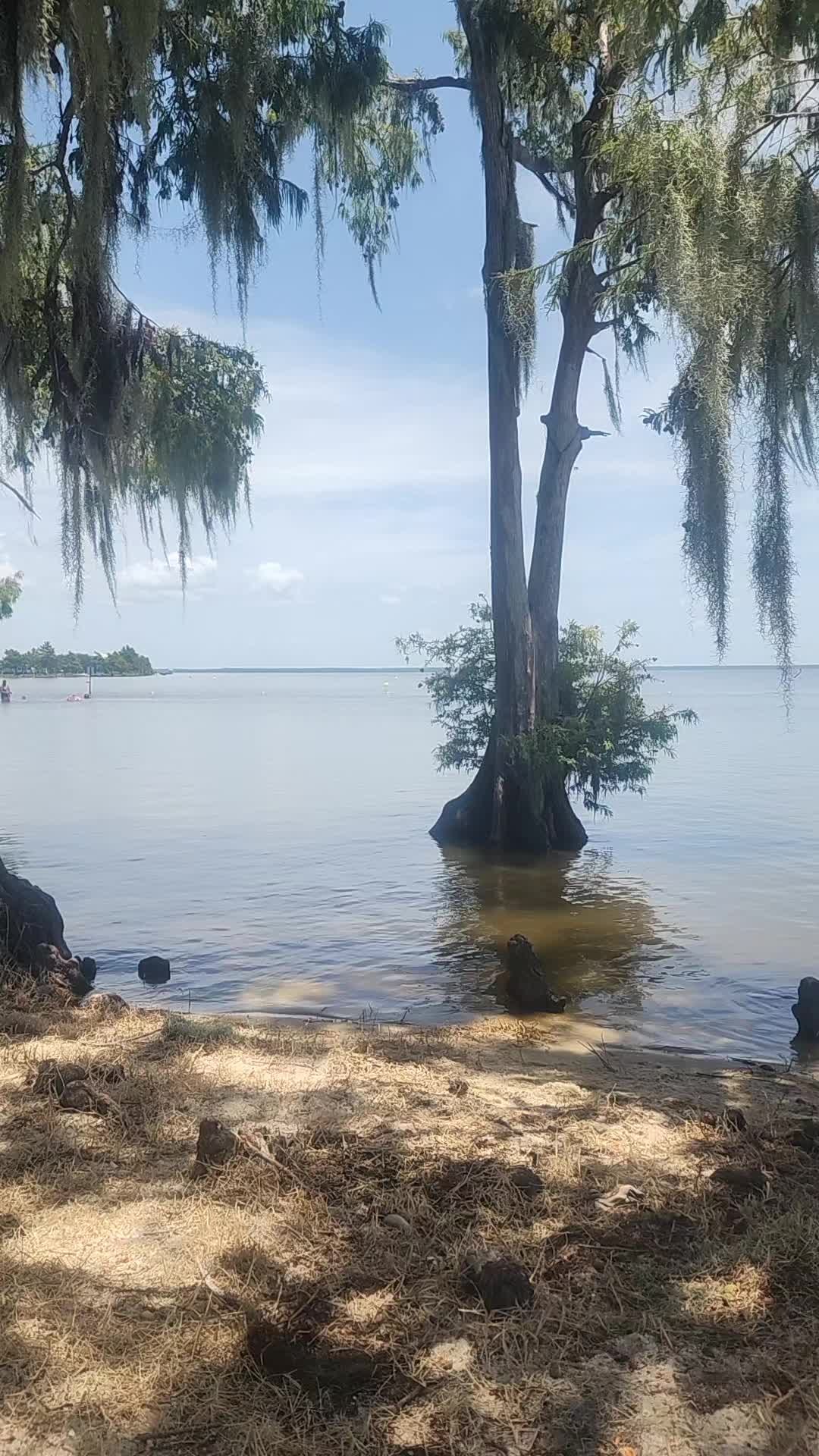 @Louohana