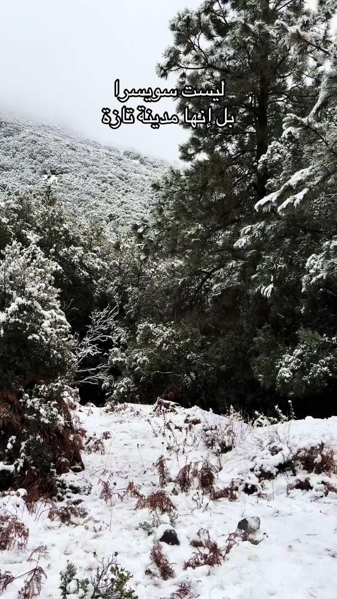 @Oussama🇲🇦تازي🇫🇷