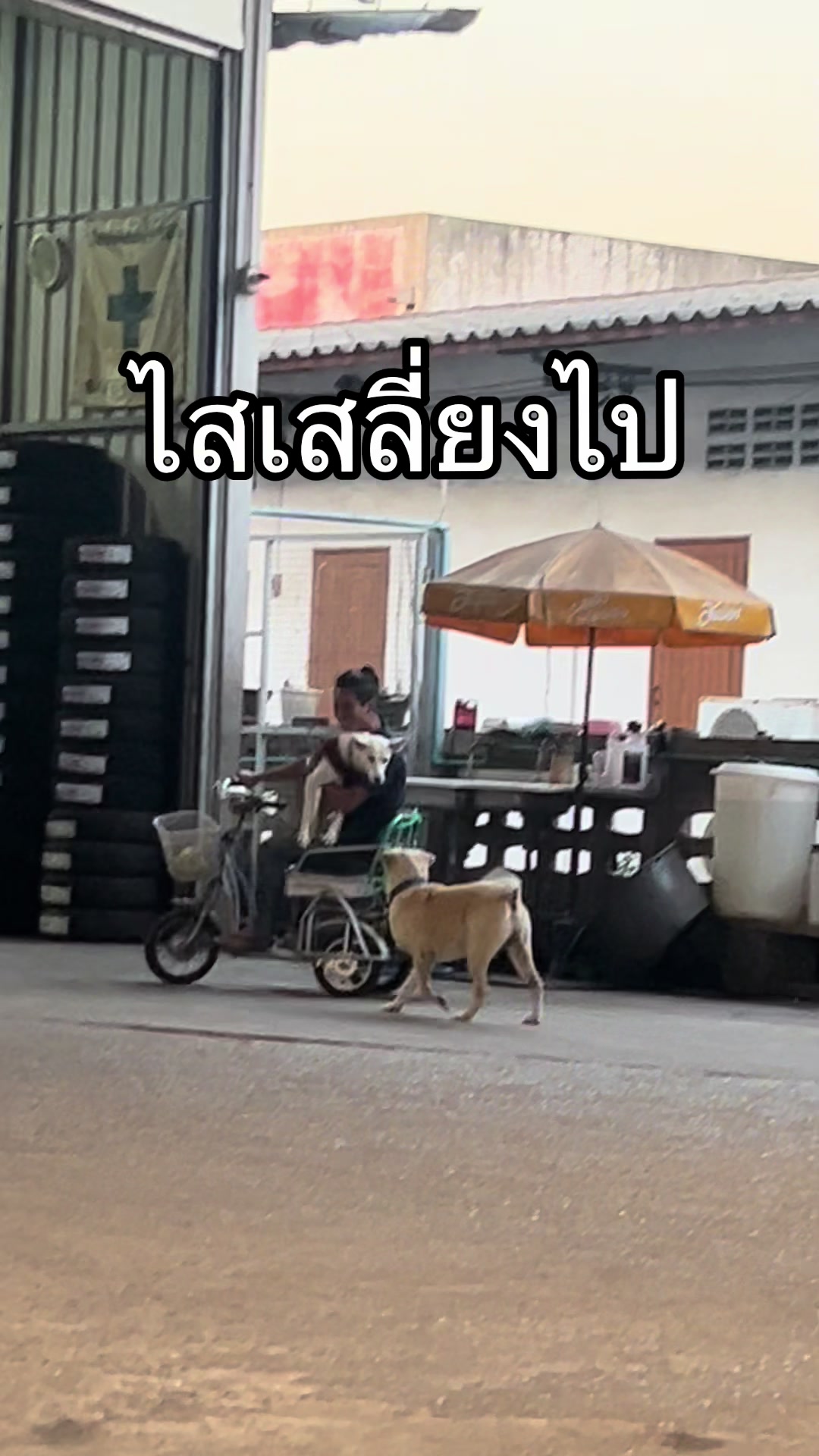 @มะลิตาฟ้าาาาา🐕🐶💫