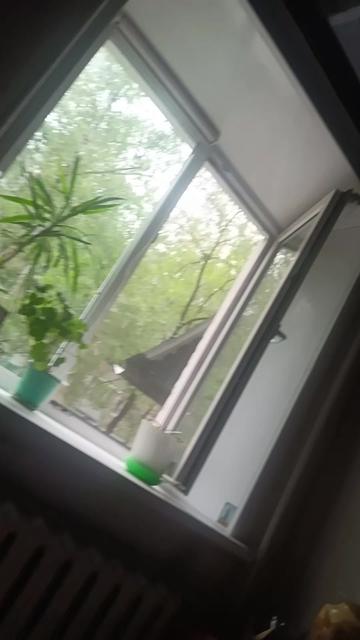 @даниил сергеев