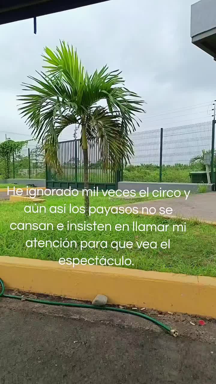 @Danielita Erreyes