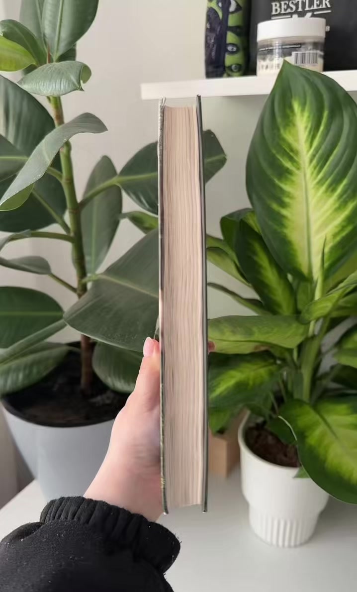 @📚 веточка читает 🌿