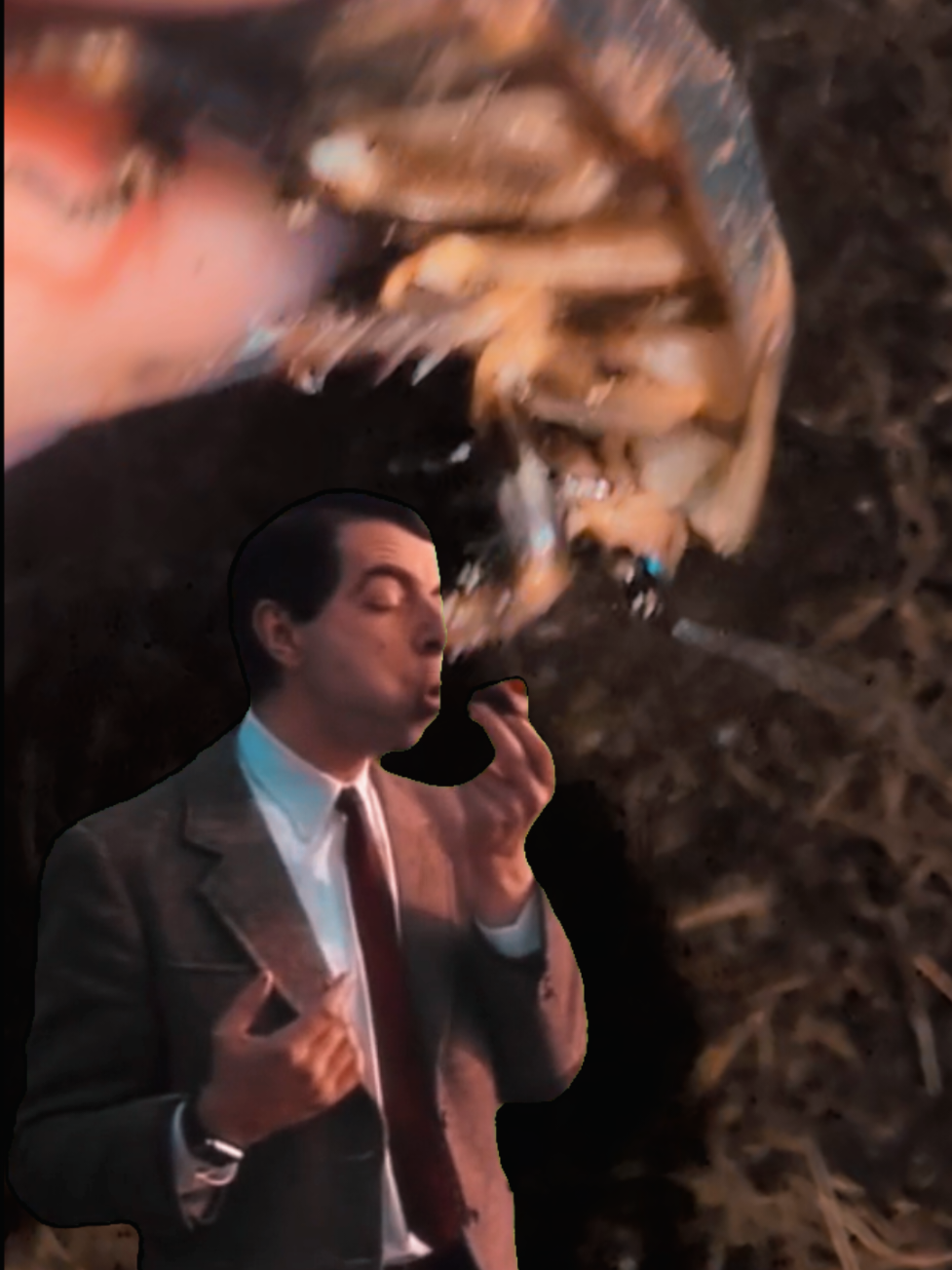 @Benjamin ZooMob