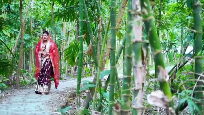 @ছোট্ট পার্বতী....🌸🖤
